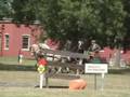 videos de Phillip Odden driving Beorn & Marcy at the Villa Louie Carriage Classic 2008