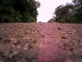 rally argentina 08 camara