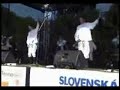Matica slova?ka Ilok