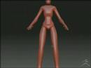 DWIII 3D - Character Sculpt 01 DWIII 3D - Character Sculpt 01