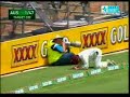 Kemar Roach Vs Ricky Ponting