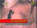 Funny cat video must see