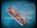 Gen�rico das F�rias de Ver�o II
