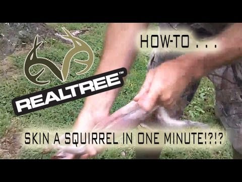 how to properly skin a squirrel