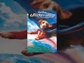 Underdog