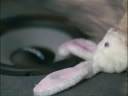 Car Stereo Commercial .wmv