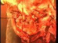 Skinny Puppy - Love In Vein