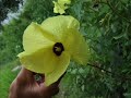 Vang Vieng - Monsoon Trip