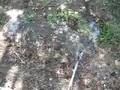 Gravelly Grass 3
