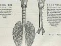 De Humani Corporis Fabrica