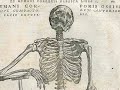 De Humani Corporis Fabrica