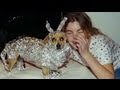 Awkward Family Photos: Pets Crazy Picture Edition! Pet Raccoons, Opossums and Skunks!