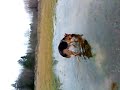 MOV01349.MP4