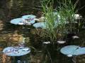Montegrino: The lake of wonders