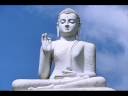 Budham Saranam Gachami.wmv