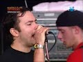MILLENCOLIN: Fingers Crossed (Live Big Day Out 2003)