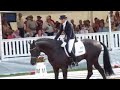 Noorhobuste MM koolisõidus 2010 - Emmelie Scholtens ja Astrix