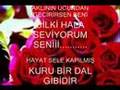 sen her�eyimsin bitanesi