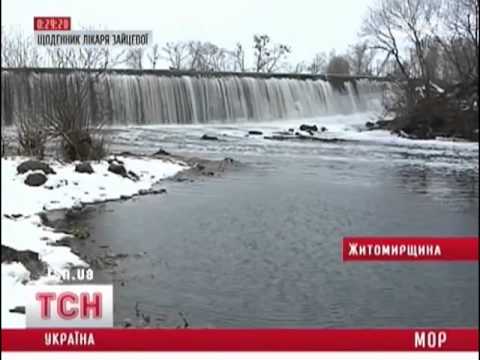 Смотреть видео