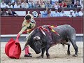verguenza