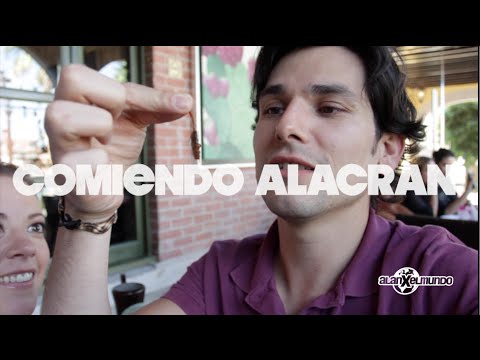 Alias El Alacran - El Muchacho De Durango, Pt. 2