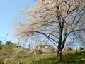 いいちこ動画9