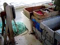 Lobster fishing Dec 2006 Lobster fishing Dec 2006