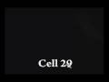 Old Melbourne Gaol - Cell 29