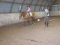 Paardenkamp Aug-07