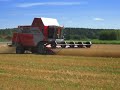 AGCO Tröskdemo Ultuna MF 7278 Cerea AGCO Tröskdemo Ultuna MF 7278 Cerea