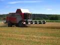 AGCO Tröskdemo Ultuna MF 7278 Cerea