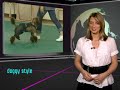 YouNews - mylol.net; paedophile paradise? - Thumb #3