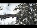 Alaska Bachelor Videos #2: Olin Twitchell