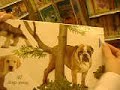 Dog pee book