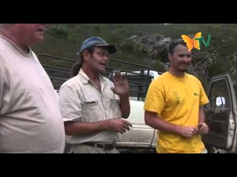 Albertinia South Africa  – Guineafowl guest resort – mountains, cave paintings, nature