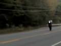 videos de gixxer wheelie