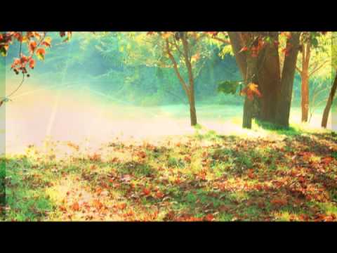 Sleep Music: Sleeping Music and Relaxing Music for sleeping,Relax,Lullabies to help you Sleep