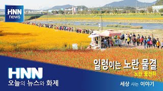 일렁이는 노란 물결 / 세상 사는 이야기