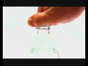 videos de Parma Per Gli Altri