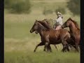 in a whisper josh lyons pat parelli c cameron horse training
