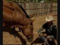 IN A WHISPER Josh Lyons Pat Parelli C Cameron horse training