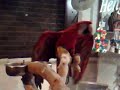 Parrot-Beatbox-Danci