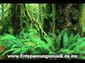 Entspannungsmusik Natur Naturgeräusche