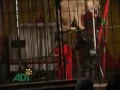 la violencia y abuso contra animales en circos sudamericanos