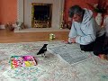 magpie crimmins magpie crimmins