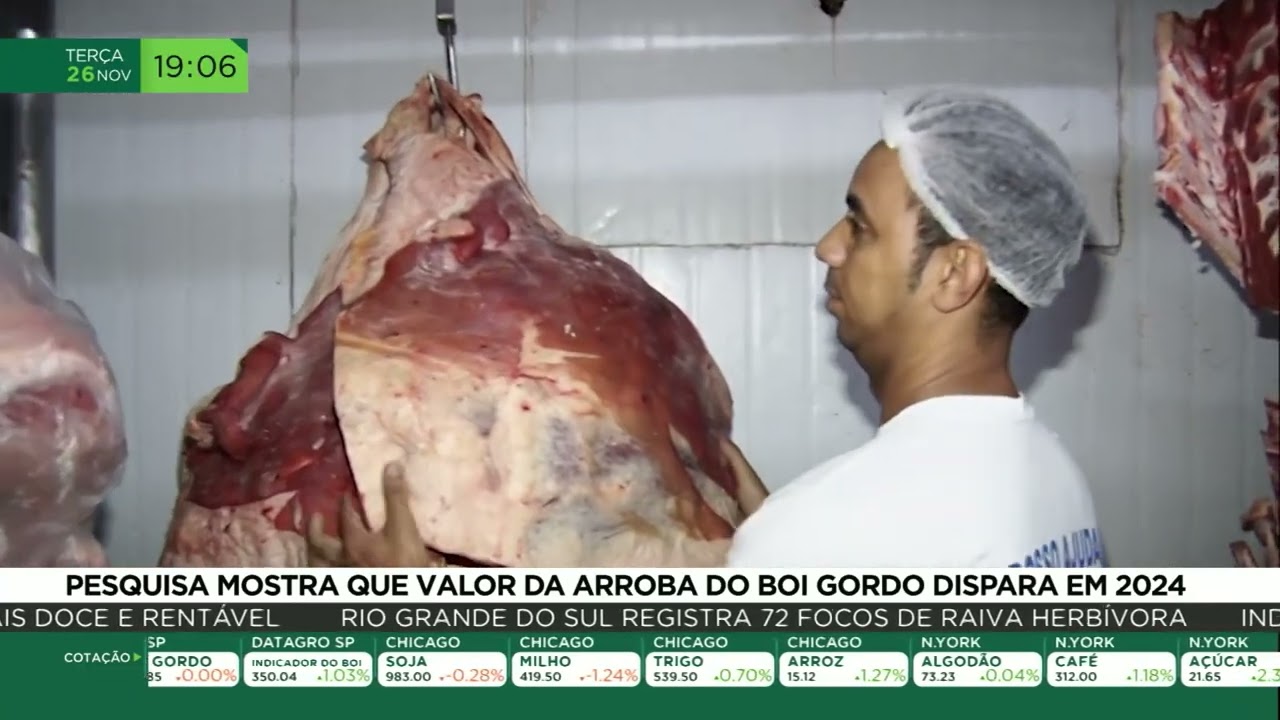 Pesquisa mostra que valor da arroba do boi gordo dispara em 2024
