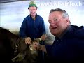 Swiss weather prophets read mouse tails and cow horns