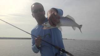 DockSide TV  