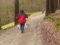 Beagle Olivia: Den Rehen nach...