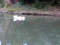 HydroFoam - 1. Run Micha